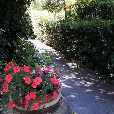 Bed & Breakfast Casa Di Loretta